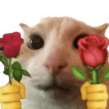 Silly Goofy Dip Catto รูปที่ 26