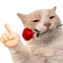Silly Goofy Dip Catto รูปที่ 27