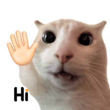 Silly Goofy Dip Catto รูปที่ 30