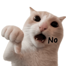 Silly Goofy Dip Catto รูปที่ 31