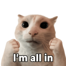 Silly Goofy Dip Catto รูปที่ 33