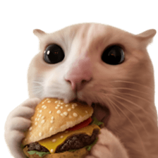 Silly Goofy Dip Catto รูปที่ 34
