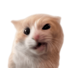 Silly Goofy Dip Catto รูปที่ 35