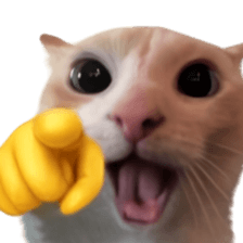 Silly Goofy Dip Catto รูปที่ 37