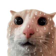 Silly Goofy Dip Catto รูปที่ 38