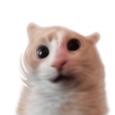 Silly Goofy Dip Catto รูปที่ 39