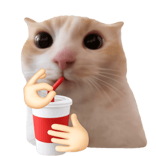 Silly Goofy Dip Catto รูปที่ 40
