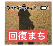 804792499