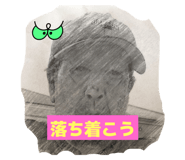 804792504