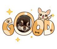 804806998