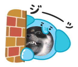 804809963