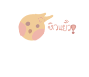 804813841