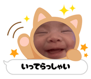 804842854