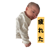 804845580