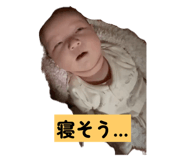 804845581