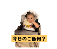 804845585