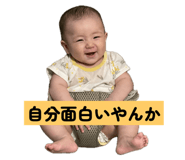 804845590