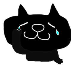 8048457