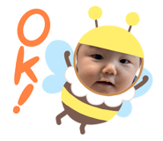 804853409