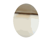804862598