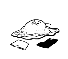 8048648