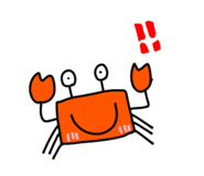 804890337