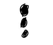 804896381