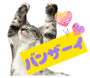804898770