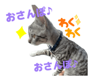 804898780