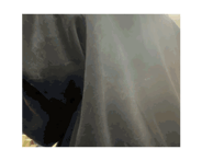 804901170