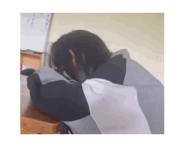 804901184