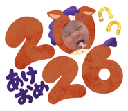 804926442