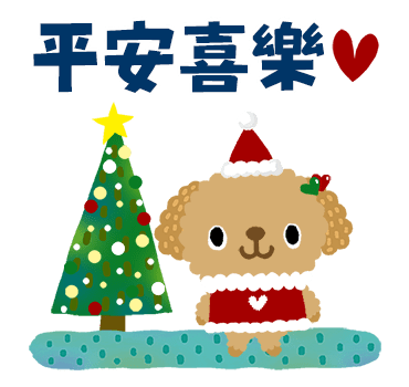 Picture Book TOY POODLE Xmas & New Year รูปที่ 11