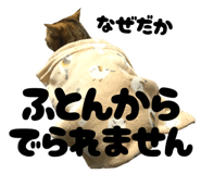 804947957
