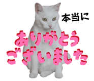 804947959