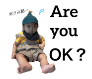 80496024