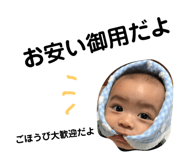 80496041