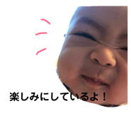 80496044