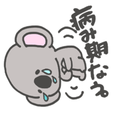 8050004