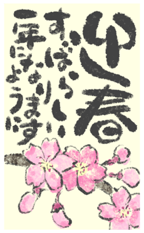 805025156