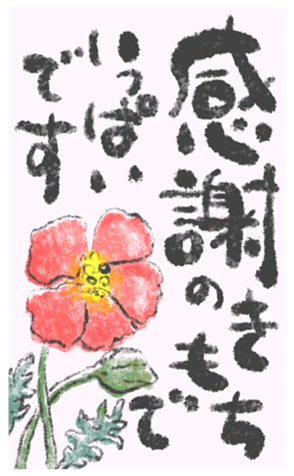 805025166