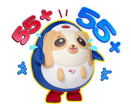 ลายที่ 17