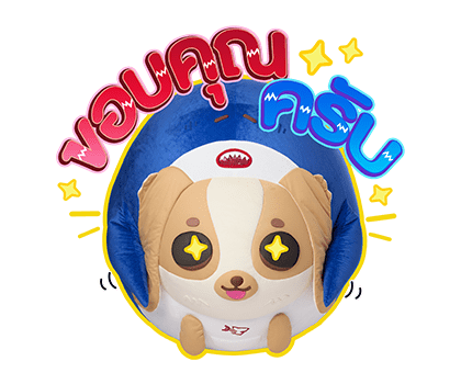 ลายที่ 27