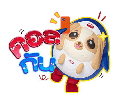 ลายที่ 47