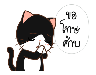 ลายที่ 9