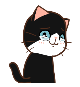 ลายที่ 11