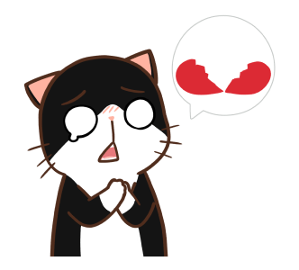 ลายที่ 13