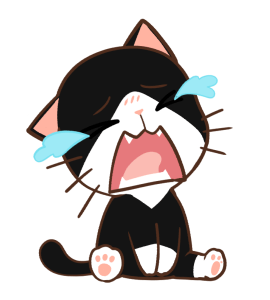 ลายที่ 17