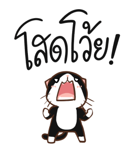 ลายที่ 19