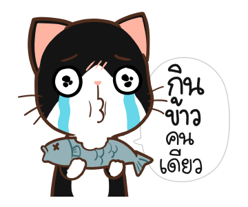 ลายที่ 27